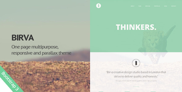 Birva – Creative One Page Template Birva – Creative One Page Template