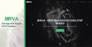 BIRVA – Responsive Portfolio Template