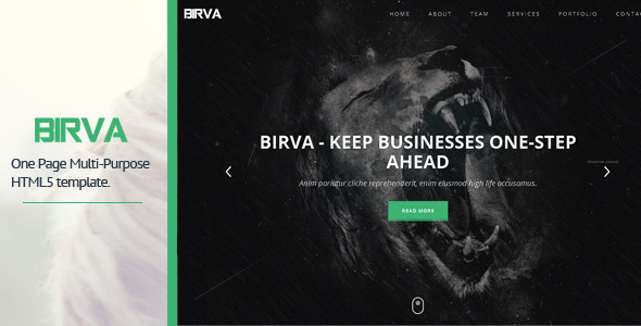 BIRVA – Responsive Portfolio Template BIRVA – Responsive Portfolio Template