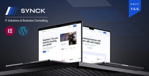 Synck IT Solutions WordPress Theme